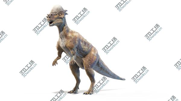 images/goods_img/20210312/Pachycephalosaurus model/2.jpg